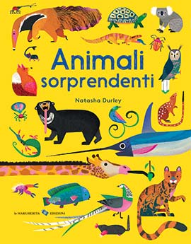 Biblioburro: Animali soprendenti